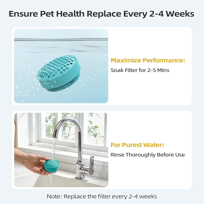 Glass Cat and Dog Water Fountain 90oz/2.7L, Compatible with Replacement Filters 8 Pcs (with 4 Sponges) - Image 4