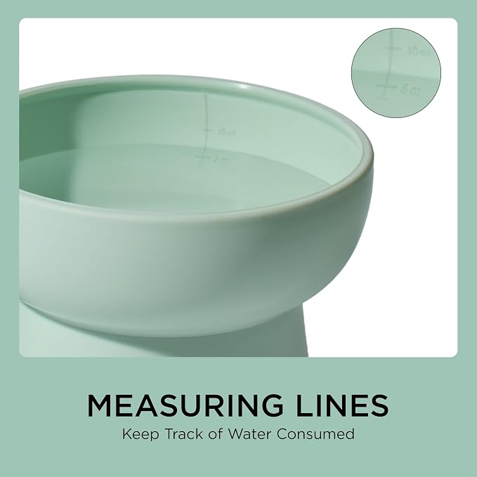 Necoichi BPA-Free Plastic Elevated Cat Water Bowls, 2-Pack (Ocean Mist) - Image 4