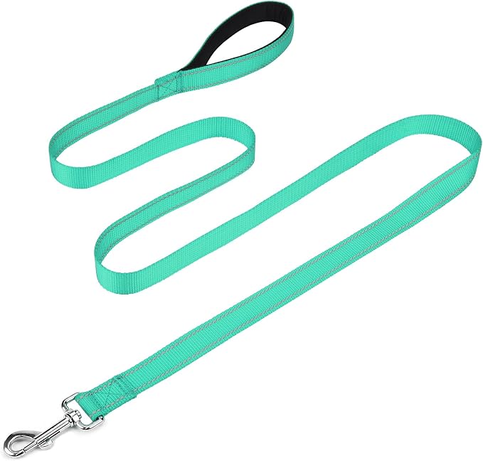 FunTags Reflective Nylon Dog Leash for Small & Medium Dogs, 6FT for Walks | Comfortable Padded Grip, Stay Safe at Night, 360° Anti-Tangle Swivel, for Dog Parks & Trails, Turquoise by FUNSTARTSHERE