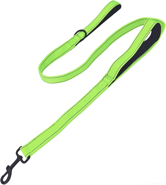 Solmoony 4FT Green Strong Dog Leash with 2 Padded Handles, Traffic Handle Extra Control, Double-Sided Reflective Walking Lead for Small Medium and Large Dogs(Green, 4FT) by SOLMOONY