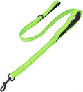 Solmoony 4FT Green Strong Dog Leash with 2 Padded Handles, Traffic Handle Extra Control, Double-Sided Reflective Walking Lead for Small Medium and Large Dogs(Green, 4FT) by SOLMOONY