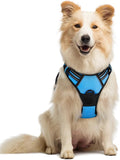rabbitgoo Dog Harness, No Pull Medium Sized with 2 Leash Clips, Pet Vest | No Choke with Handle, Adjustable Soft Padded, Reflective, Easy Control for Walking, Blue, Medium by rabbitgoo