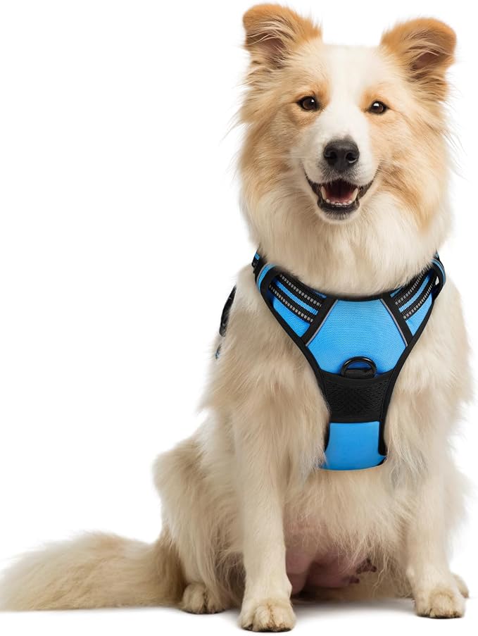 rabbitgoo Dog Harness, No Pull Medium Sized with 2 Leash Clips, Pet Vest | No Choke with Handle, Adjustable Soft Padded, Reflective, Easy Control for Walking, Blue, Medium by rabbitgoo