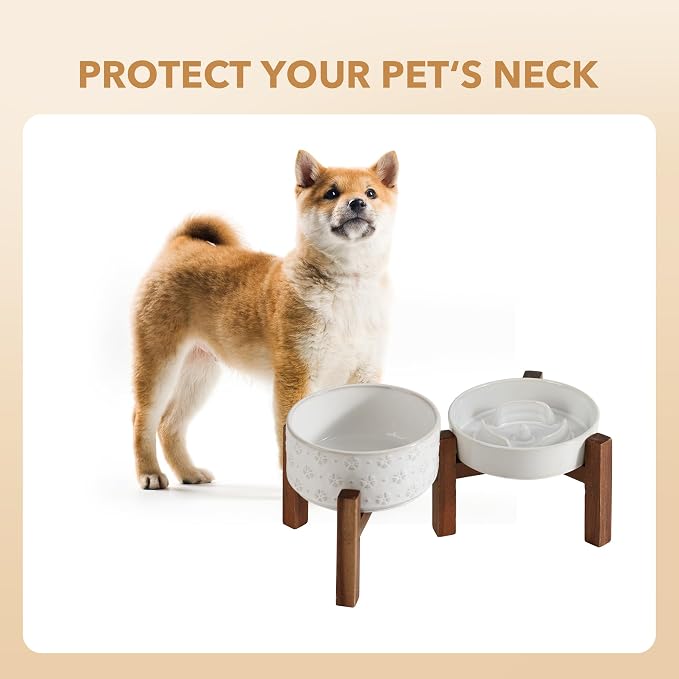 Havniva Raised Slow Feeder Dog Bowls, Elevated Dog Bowls Slow Feeder Set | 0.9 Cups Ceramic Dog Bowl Elevated with Acacia Wood Stand, Raised Dog Food Bowl, Puzzle Slow Feeder for Small Dogs, Non-Slip - Image 8
