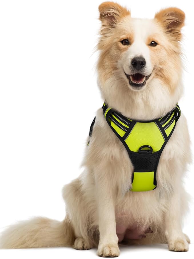 rabbitgoo Dog Harness, No Pull Medium Sized with 2 Leash Clips, Pet Vest | No Choke with Handle, Adjustable Soft Padded, Reflective, Easy Control for Walking, Wild Lime, Medium by rabbitgoo