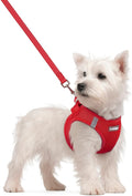 rabbitgoo Dog Harness Small Sized and Leash Set, Step-in Puppy Pet Vest | Light, Soft, Breathable Air Mesh, Easy on and Remove with Hook & Loop, Secure Reflective for Walking, Red S by rabbitgoo