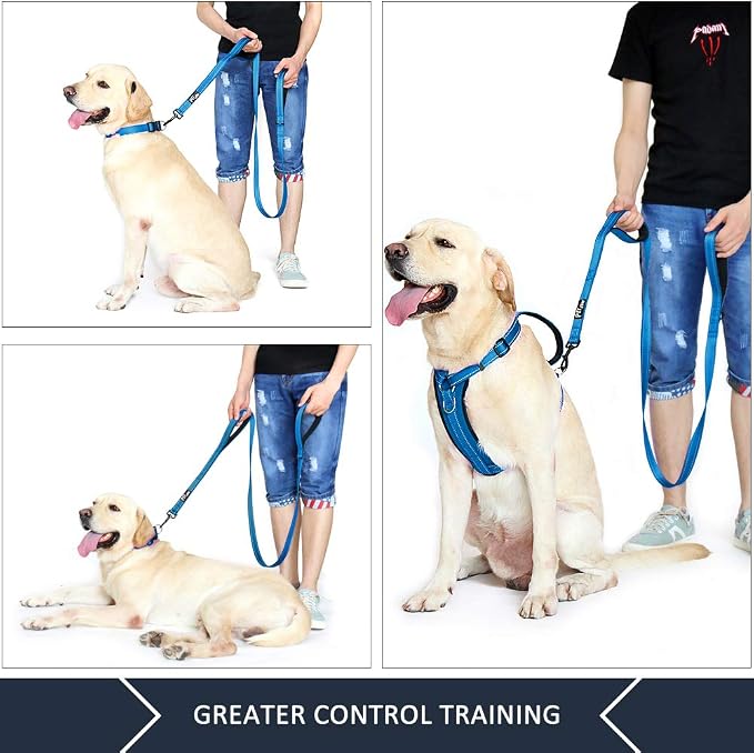 Plutus Pet Double Handle Dog Leash, 6 FT Long, for Medium Large Dogs | Reflective Nylon, Soft Padded 2 Handles, Heavy Duty for Training, Dual Handle Lead, 6 FT x 1”, Light Blue - Image 3