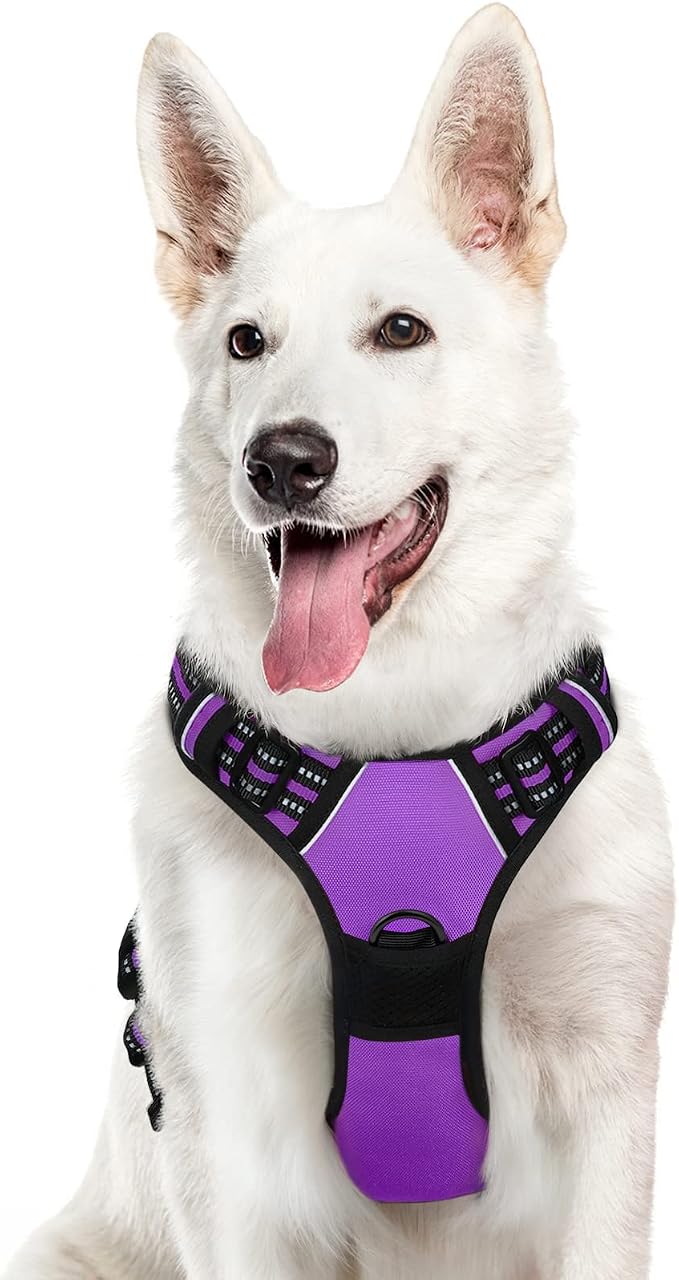 Eagloo Dog Harness for Large Dogs, No Pull Pet Vest with 2 Leash Clips | No Choke with Handle, Adjustable Comfort Fit, Reflective Strips, Easy Walking Control, Purple, X-Large by GoExplorewithEagloo
