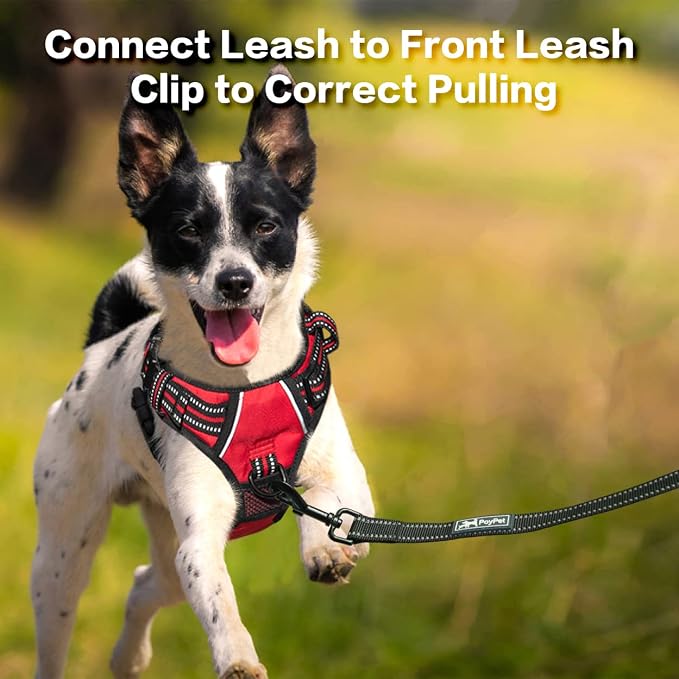 PoyPet No Pull Dog Harness with 3 Leash Clips and Vertical Handle | No Choke, Reflective, Adjustable, Soft Padded, Dog Vest for Medium Dogs, Walking Training, Red, M - Image 5