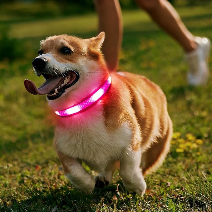 Illumifun Light Up Dog Collar - USB Rechargeable LED Dog Collar Glow in the Dark, High Visibility Glow Collar Light for Nighttime Walking (Medium, Light Pink) - Image 6
