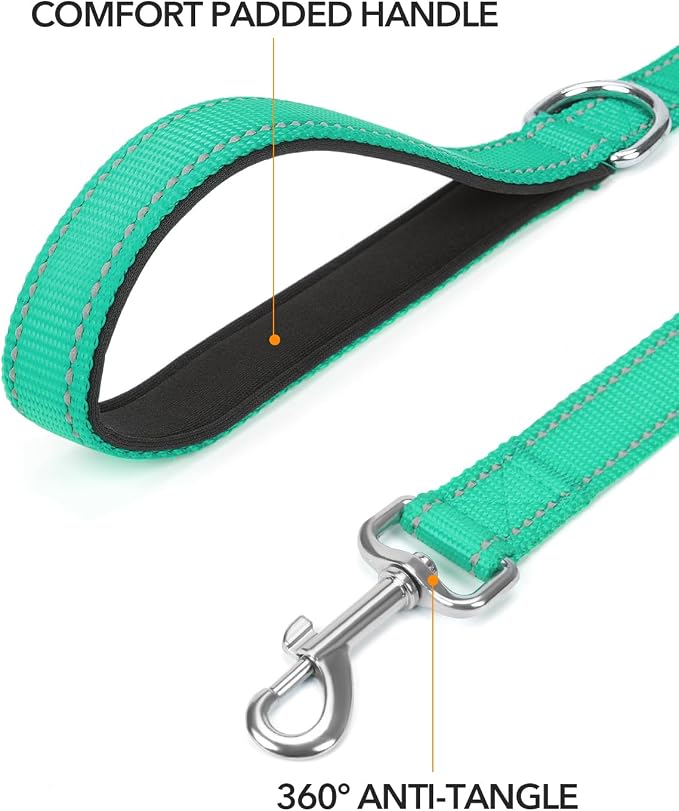 Taglory Reflective Dog Leash for Medium Large Dogs, 1in x 5ft, Turquoise | Ideal for Night Walking, Strong for Sudden Pulls, Lightweight & Gentle on the Neck, Soft Padded Handle - Image 2