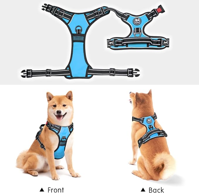 PoyPet No Pull Dog Harness Medium with Front Clip & Neck Release Buckle | No Choke, Adjustable Vest, Reflective, Back Clip, Lockable, Soft Padded Handle for Walking Training, M, Light Blue - Image 5
