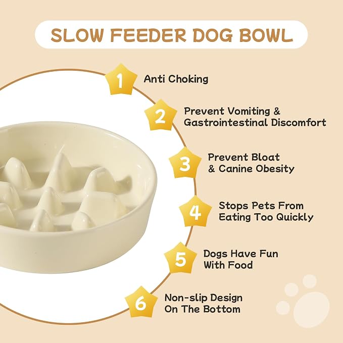 Havniva Elevated Slow Feeder Dog Bowls, Ceramic Dog Bowl Slow Feeder Set | 0.9 Cups Raised Slow Feeder Dog Bowl for Small Breed, 6.1” Dog Water Bowl with Wooden Stand, Puzzle Dog Food Bowl, Non-slip - Image 6