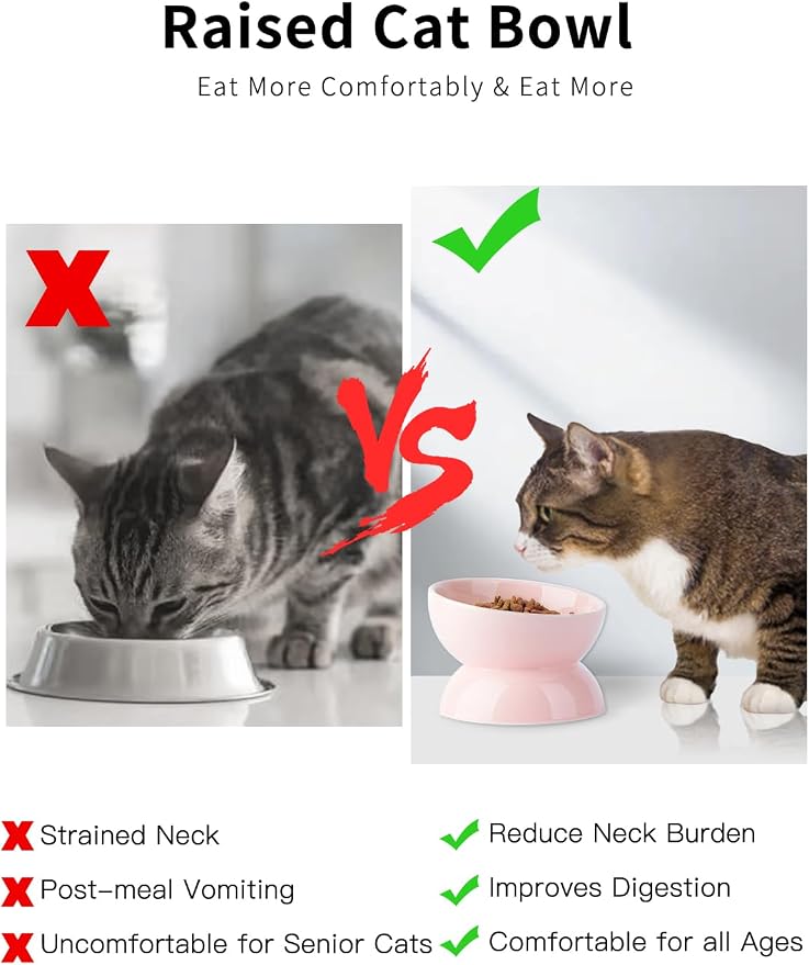 ABRUTY Cat Water Bowl, 16 OZ Ceramic Elevated Cat Bowls, 15° Tilted and Raised Pet Food Dish, Anti Vomiting Protect Pets' Spines and Whisker Fatigue - Image 7
