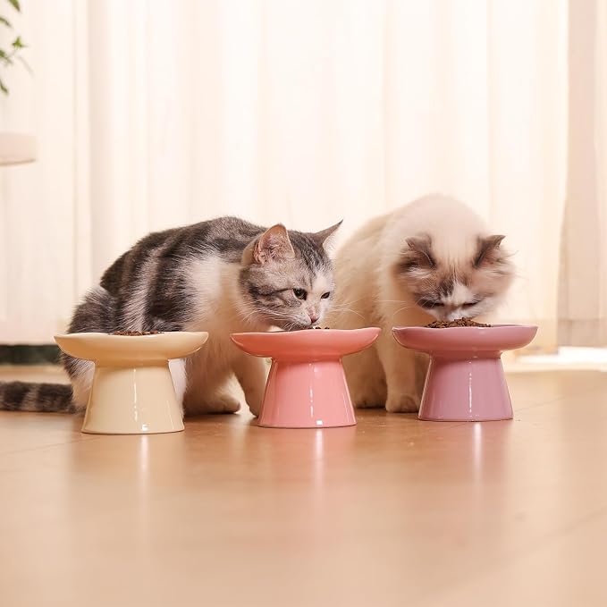 Wide Shallow 6.1" Raised Cat Bowls, Ceramic Elevated Food Plate for Flat Faced Cats and Small Dogs, Porcelain Feeder Bowl, Stress Free, Protect Cat’s Spine, Cream - Image 7