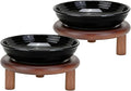 SPUNKYJUNKY Shallow Elevated Cat Bowl with Acacia Wood Stand Wide Raised Ceramic Cat Dishes Whisker Friendly Pet Food and Water Plates (Striped Pattern, 2 Pack, Black) by SPUNKYJUNKY