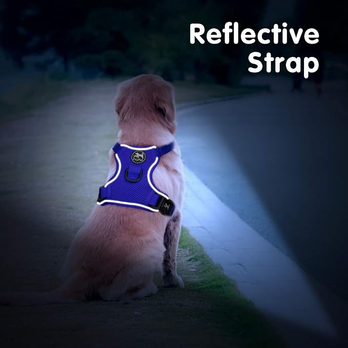 PoyPet Mesh Dog Harness, Reflective Breathable Puppy Vest for Small Dogs | Lightweight, Soft Air Mesh, Back D-ring, Adjustable, Comfortable, Double Padded, No Choke, for Daily Walking, XS, Royal Blue - Image 6