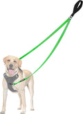PetBonus Two Point Control Dog Leash, No Tangle Training Walking Leashes | Soft Padded Handle, Reflective, Works with No Pull Harnesses, Converts to Single Lead for Medium Large Dogs, Grass Green by Petbonus