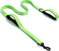 Solmoony 6FT Green Strong Dog Leash with 2 Padded Handles, Traffic Handle Extra Control, Double-Sided Reflective Walking Lead for Small Medium and Large Dogs(Green, 6FT) by SOLMOONY