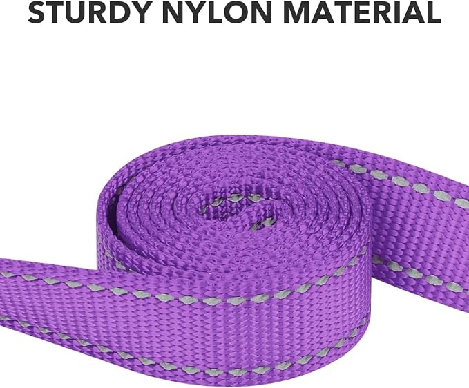 Taglory Reflective Dog Leash for Medium Large Dogs, 1in x 6ft, Purple | Ideal for Night Walking, Strong for Sudden Pulls, Lightweight & Gentle on the Neck, Soft Padded Handle - Image 3
