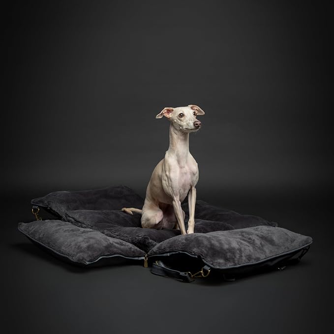 NOAH & PAW Small Dog Car Seat for Small Medium Pets with Harness Clip, 4X Safety Feature, Washable Dog Seat for Car, Orthopedic Foam Wrapped with Plush, Vegan Leather - Image 8