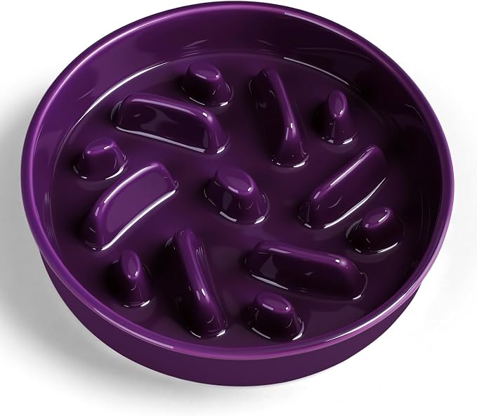 Ceramic Slow Feeder Dog Bowl, 2 Cups Maze Puzzle Dish to Slow Down Eating | Premium Ceramic Material with Anti-Slip Design, Suitable for Small, Medium and Large Breed Dogs Daily Feeding by Anipaw