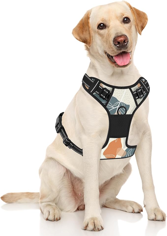 Rnivvi No Pull Dog Harness, Cute Boho Reflective X-Large Sized Puppy Harness, Adjustable Soft Padded Vest for Large Dogs, Heavy Duty Pet Vest with Easy Control Handle for Walking Training, Leaves - Image 2