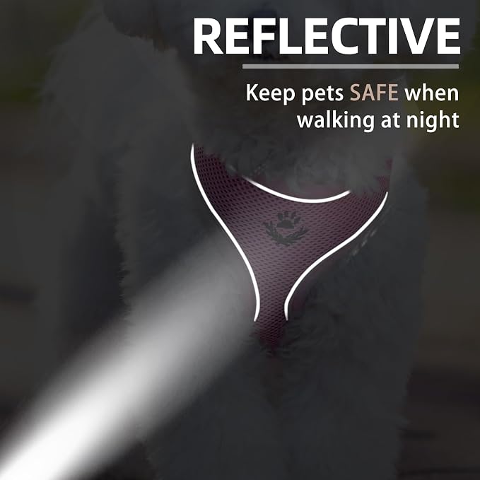 PUPTECK Small Dog Harness and Leash Set No Pull for XS XXS Sized Dogs Puppy | Escape Proof No Choke Pet Cat Adjustable Soft Padded Walking Vest - Image 4