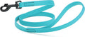 Dogline Biothane Waterproof Dog Leash Strong Coated Nylon Webbing with Black Hardware Odor-Proof Easy to Clean High Performance for Small or Large Dogs Made in USA 4 or 6 ft Lead, Sky Blue by Dogline