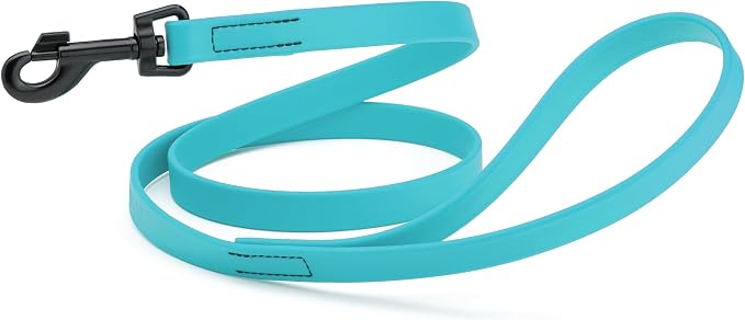 Dogline Biothane Waterproof Dog Leash Strong Coated Nylon Webbing with Black Hardware Odor-Proof Easy to Clean High Performance for Small or Large Dogs Made in USA 4 or 6 ft Lead, Sky Blue by Dogline