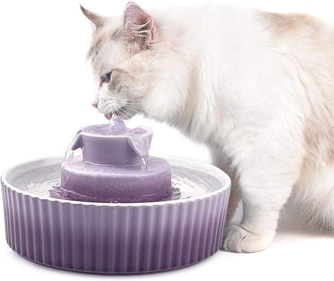 Ceramic Cat Fountain, 2.1L Pet Drinking Fountain for Cat and Dog, Cat Fountain Porcelain, Cat Water Dispenser with Activated Carbon Filter and Sponge Foam Pre-Filter (Purple) by VinDox