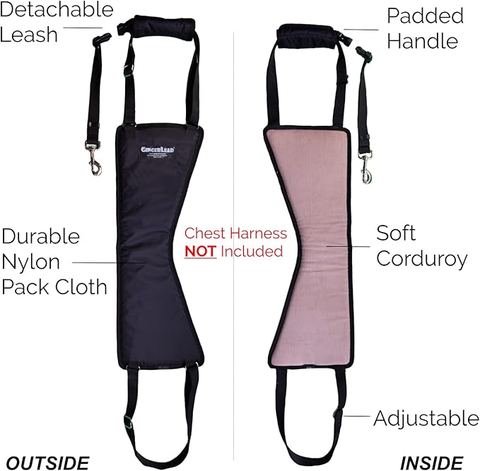 Dog Sling Hind Leg Support, M/LG Unisex with Cutout, Made in USA | Help Pets Walk, K9s Recover from Surgery, Fits Male & Female, Integrated Leash, Machine Wash/Dry, Chest Harness NOT Included - Image 4