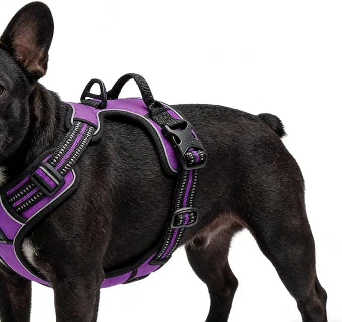 Purple No-Pull Dog Harness with 2 Leash Clips，Soft Padded Vest for Medium Dog, Adjustable Reflective Dog Vest Easy to Put on and Take Off, (Neck: 14"~20", Chest: 21"~27", Purple M) - Image 5