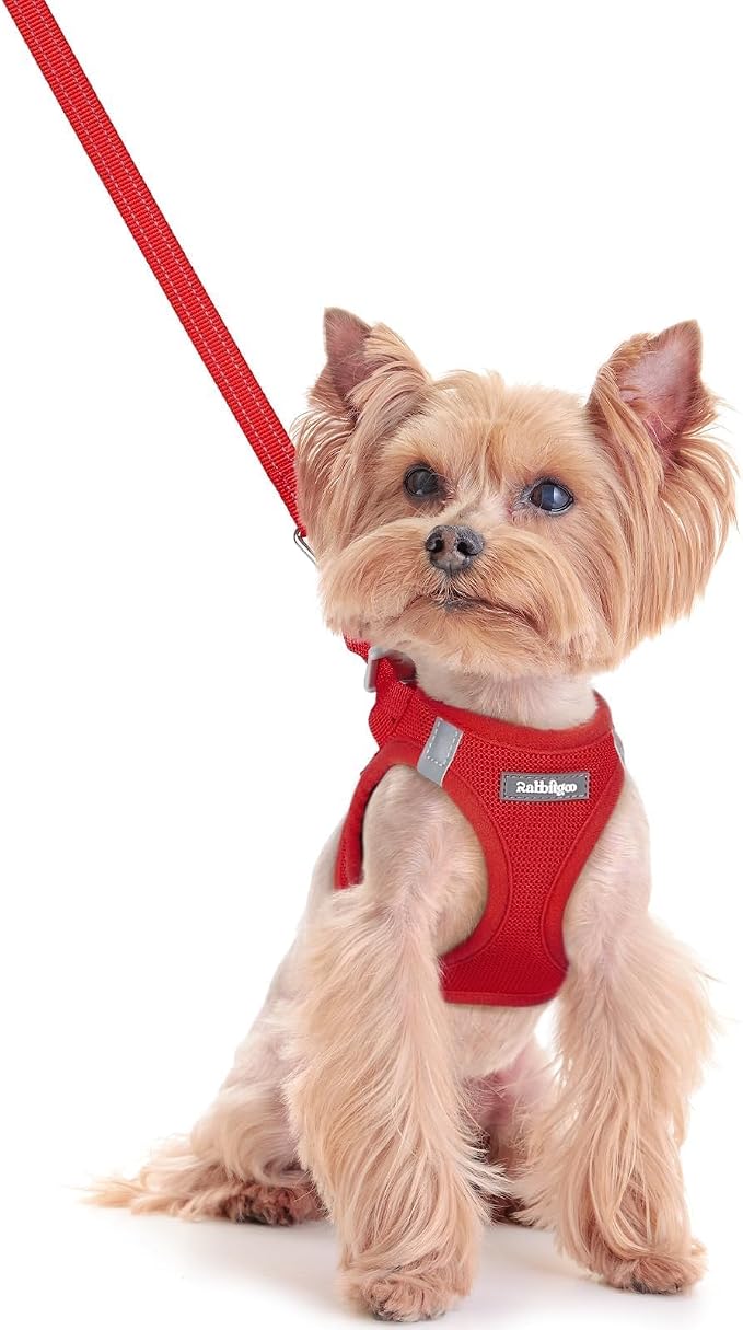 rabbitgoo Dog Harness Small Sized and Leash Set, Step-in Puppy Pet Vest | Light, Soft, Breathable Air Mesh, Easy on and Remove with Hook & Loop, Secure Reflective for Walking, Red XXS by rabbitgoo