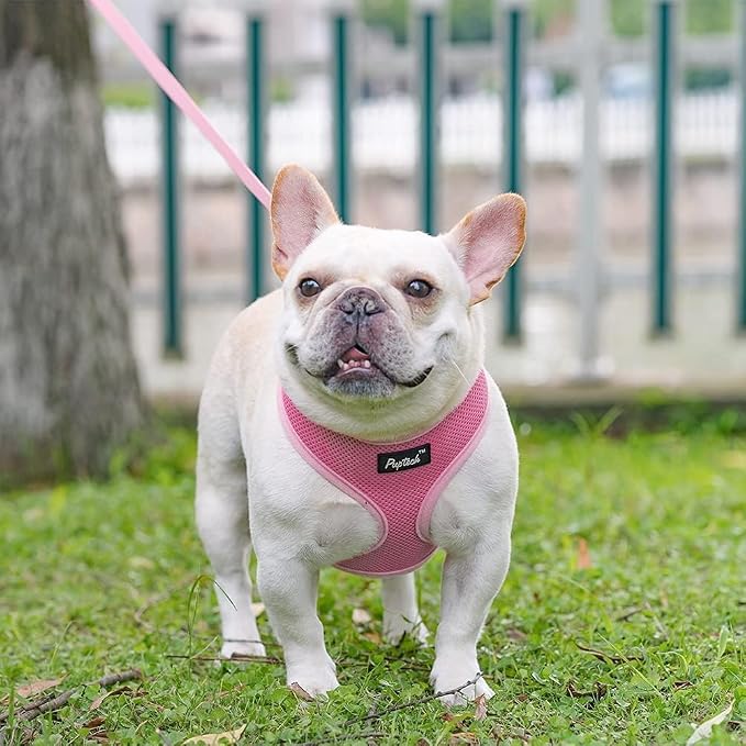 PUPTECK Small Dog Harness and Leash Set No Pull for XS XXS Sized Dogs Puppy | Escape Proof No Choke Pet Cat Adjustable Soft Padded Walking Vest - Image 6