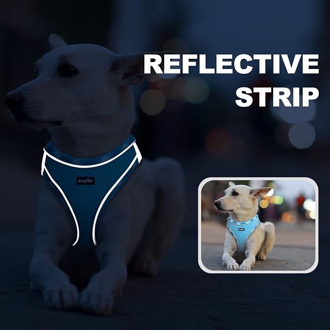 haapaw Dog Harness with Leash Set, No Pull Adjustable Reflective Step-in Puppy Harness with Thickened Padded Vest for Extra-Small/Small Medium Dogs - Image 5