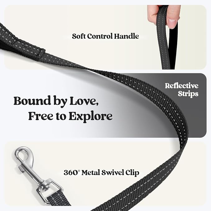 rabbitgoo Dog Harness Small Sized and Leash Set, Step-in Puppy Pet Vest | Light, Soft, Breathable Air Mesh, Easy on and Remove with Hook & Loop, Secure Reflective for Walking, Black Zigzag S - Image 7