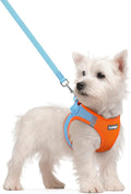 rabbitgoo Dog Harness Small Sized and Leash Set, Step-in Puppy Pet Vest | Light, Soft, Breathable Air Mesh, Easy on and Remove with Hook & Loop, Secure Reflective for Walking, Blue & Orange S by rabbitgoo