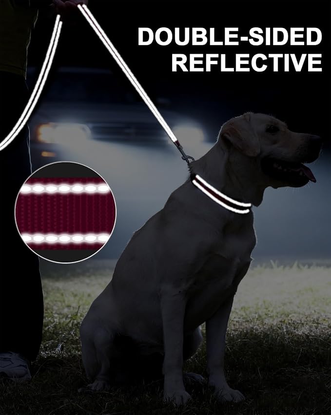 Taglory Reflective Dog Leash for Small Dogs, 3/4in x 4ft, Hot Pink | Ideal for Night Walking, Strong for Sudden Pulls, Lightweight & Gentle on the Neck, Soft Padded Handle - Image 5