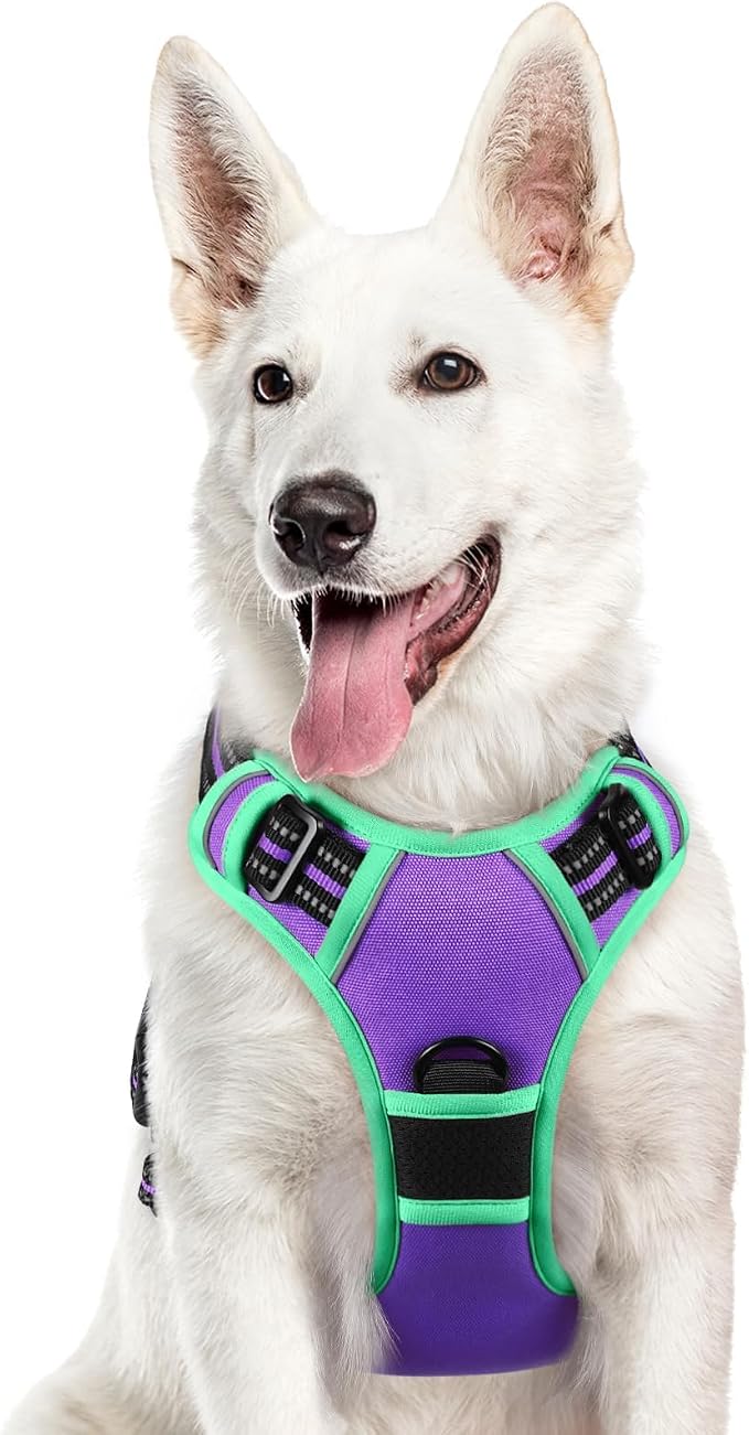Eagloo Dog Harness for Large Dogs, No Pull Pet Vest with 2 Leash Clips | No Choke with Handle, Adjustable Comfort Fit, Reflective Strips, Easy Walking Control, Purple & Turquoise, X-Large by GoExplorewithEagloo