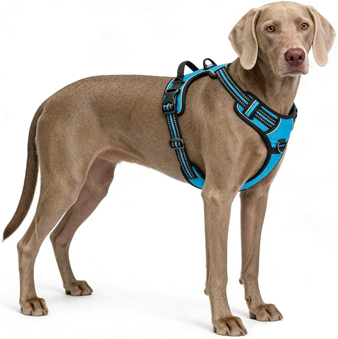 Blue No-Pull Dog Harness with 2 Leash Clips，Soft Padded Vest for Medium Dog, Adjustable Reflective Dog Vest Easy to Put on and Take Off, (Neck: 14"~20", Chest: 21"~27", Blue M) - Image 4