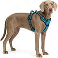 Blue No-Pull Dog Harness with 2 Leash Clips，Soft Padded Vest for Large Dog, Adjustable Reflective Dog Vest Easy to Put on and Take Off, (Neck: 17"~24", Chest: 24"~32",Blue L) by Unknown