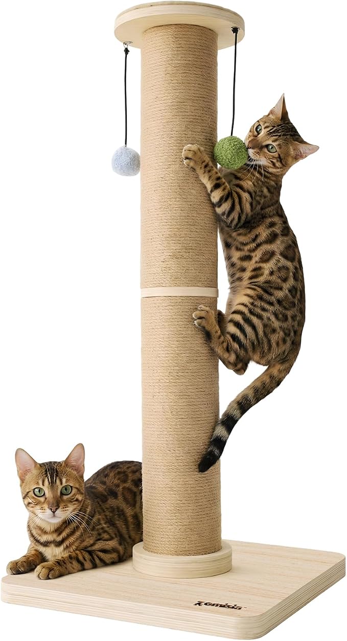 ZOMISIA 35'' Tall Cat Scratching Post for Indoor Cats Adults | 4.7'' Large Scratch Post, Thicken Wooden Base, Sisal Scratcher Top & Dangling Balls, Super Sturdy by Zomisia