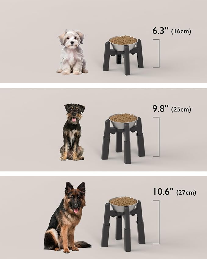 Elevated Dog Bowl, Raised Dog Bowl Stand with Stainless Steel Bowl | Elevated Pet Water & Food Bowl for Medium Dogs, Stable and Anti-Slip Raised Bowl - Image 4