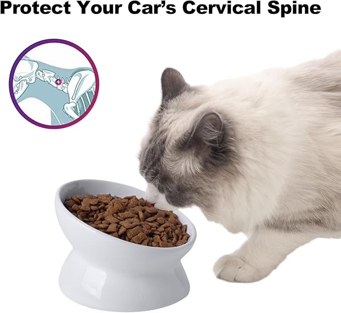 Elevated Ceramic Cat Bowl, 15° Tilted Raised Food & Water Dishes, Anti-Vomiting & Neck Protection Pet Feeder for Kittens, Small Dogs (5.2", White, 1pc Set) - Image 2
