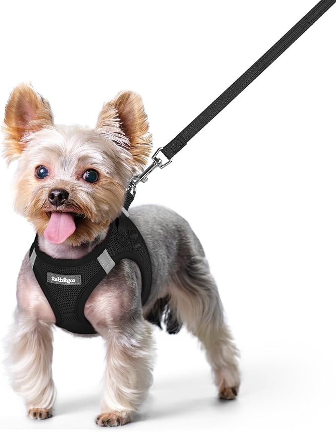 rabbitgoo Dog Harness Small Sized and Leash Set, Step-in Puppy Pet Vest | Light, Soft, Breathable Air Mesh, Easy on and Remove with Hook & Loop, Secure Reflective for Walking, Black XS by rabbitgoo
