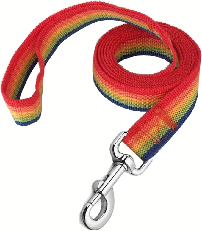 Strong Nylon Dog Leash, 4FT/ 5 FT/ 6FT Dog Leashes for Medium Large Dogs (6FT, Rainbow) by MANDAO