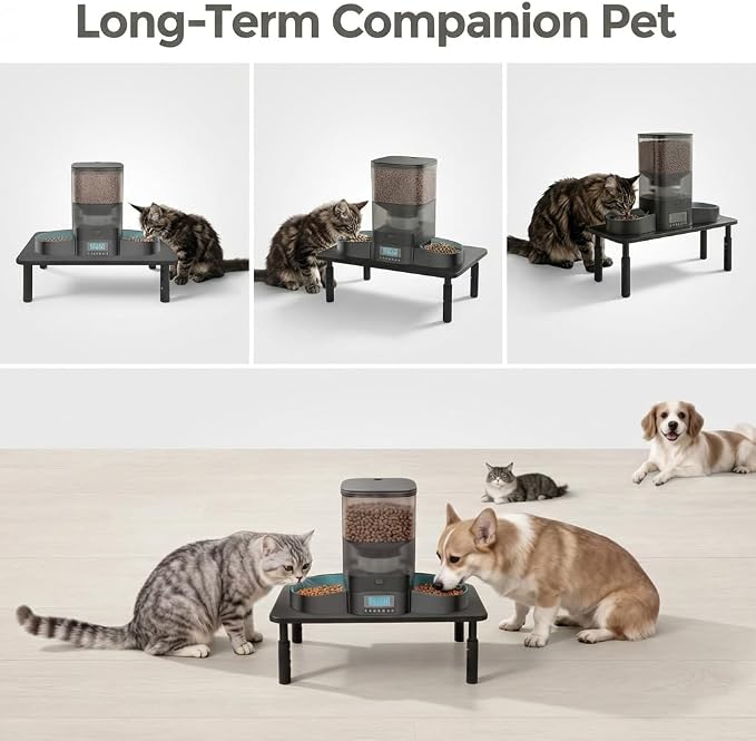 Raised Automatic Cat Feeder Stand for Double Bowl Feeders, Carbon Steel 14.57 x 9.25 in, 3 Adjustable Heights 3.94-5.5 in, Non-Slip, Fits Feeders & Water Dispensers, No-Drill (Black) - Image 8