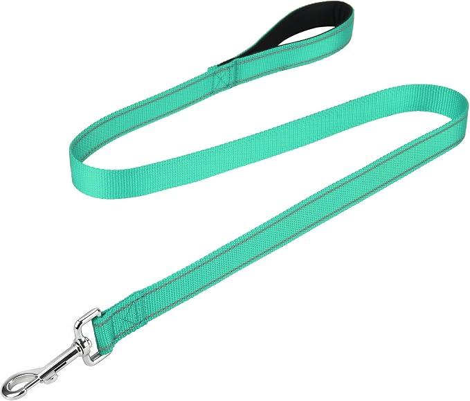 FunTags Reflective Nylon Dog Leash for Medium & Large Dogs, 4FT Training | Comfortable Padded Grip, Stay Safe at Night, 360° Anti-Tangle Swivel, for Dog Parks & Trails, Turquoise by FUNSTARTSHERE