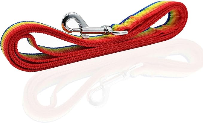 Nylon Dog Leash 4 Ft 5 Feet 6 Foot Long, Walking Training Dog Leashes for Medium Large Dogs, 1 Inch Wide (5/8" X 6 ft, Rainbow) - Image 3